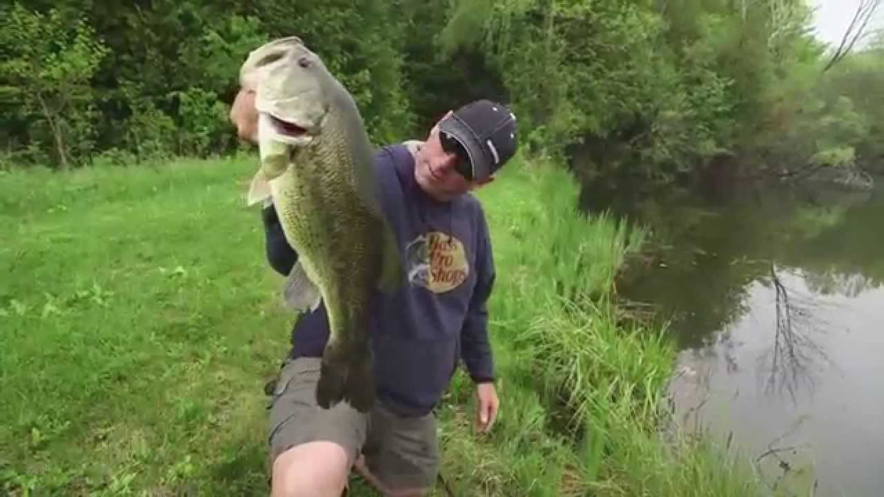 Fishing a Swim Jig From Shore for Super Sized Largemouth - Dave Mercer's  Facts of Fishing THE SHOW 