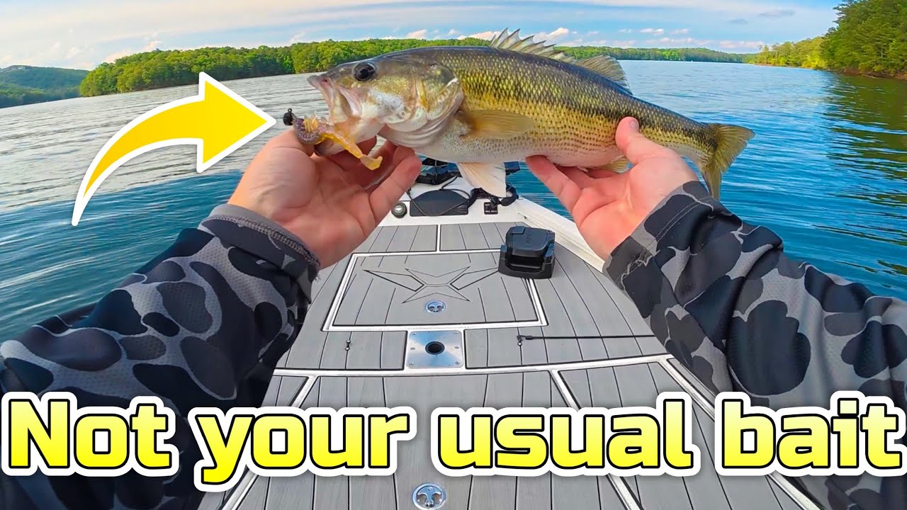 If You Think This Won't Work…WATCH THIS Bass Fishing Trick You've Never Seen
