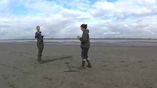 Download Lagu Observed and modelled tidal bar sedimentology MP3