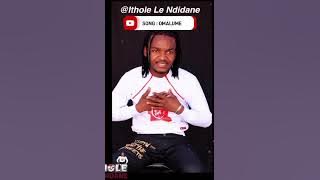 Ithole leNdidane f.t Sne Ntuli -Omalume Pre-Video promo