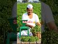 kisan bhai ka kmaal #kisan #viral #farming #shorts #shortsviral