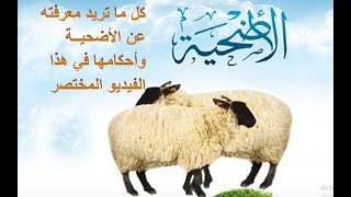 فيديو مختصر وجامع لأهم أحكام الأضحية