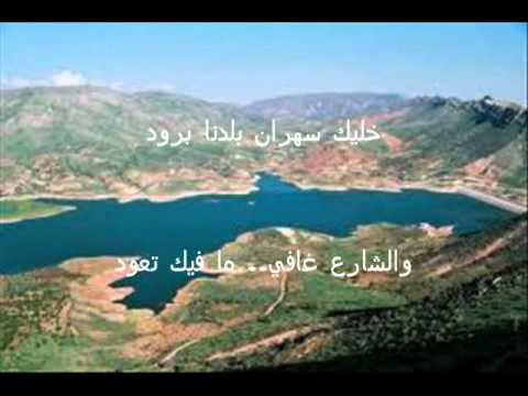 كل يغني على ليلاه