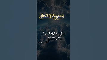 سورة النحل الاية ١٢٥-١٢٨ الشيخ خالد الجليل