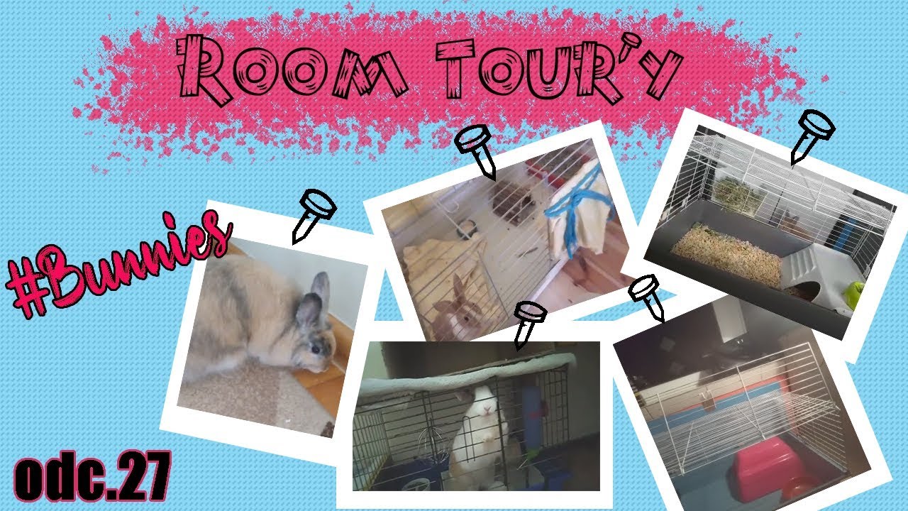 🐰ZOBACZ JAK ŻYJĄ ZWIERZAKI MOICH WIDZÓW🐰 - Room Tour’y odc. 27 | Uszatkowe Rady | KRÓLIKI