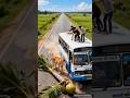Lion Attack on a Bus! 🤯 Who Saved the Passengers? (AI Twist)