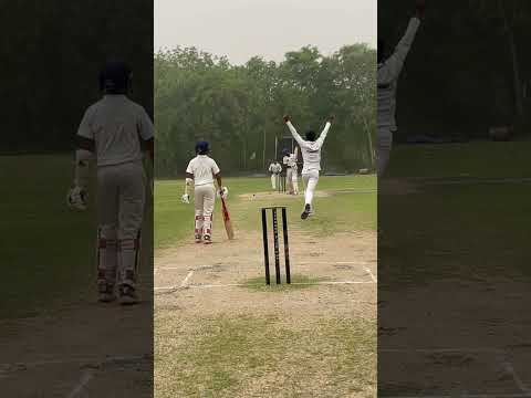 A Perfect Bowld Out In Cricket Yt Ytshorts Youtubeshorts