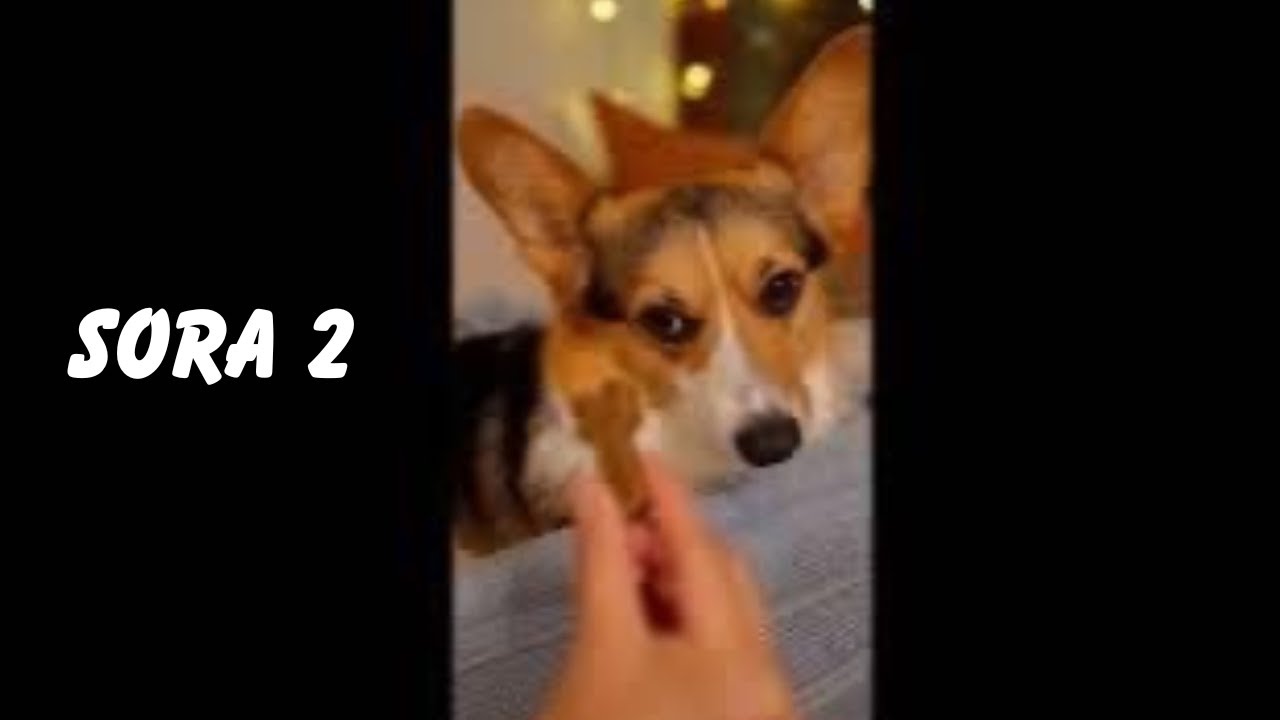 Sora 2 AI Videos Are Out of Control (Full Compilation) - YouTube