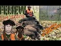 Inoubliable: 5 sangliers au même poste! Chasse au sanglier en battue, jabali, wild boar