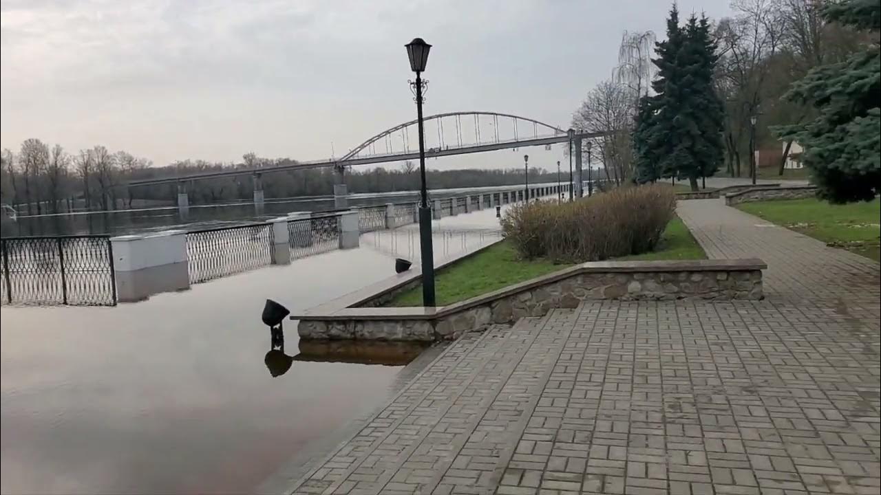 Уровень воды сож в славгороде сегодня реке. Гомель набережная. Гомель парк 2023 набережная. Гомель река СОЖ. Гомель набережная реки СОЖ сегодня.