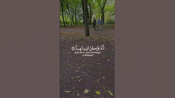 تلاوة خاشعة لآيات من كتاب الله #القرآن_الكريم #القرآن #المصحف #اكسبلور #foryou #viral #fyp# #coran#