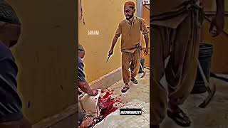 classical qurbani 2023 by moonkhan1219 viral video viralvideo viralshorts qurbani trending 