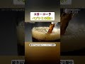 【コカ・コーラ】ペプシとの違い #都市伝説 #歴史