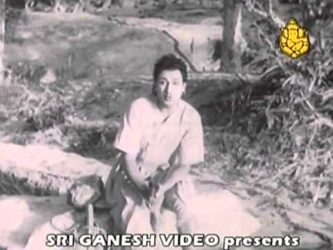 Saakele Binkada Notavu Harini   Sathi Savithri Songs   Rajkumar   Jayashree   P B Srinivas