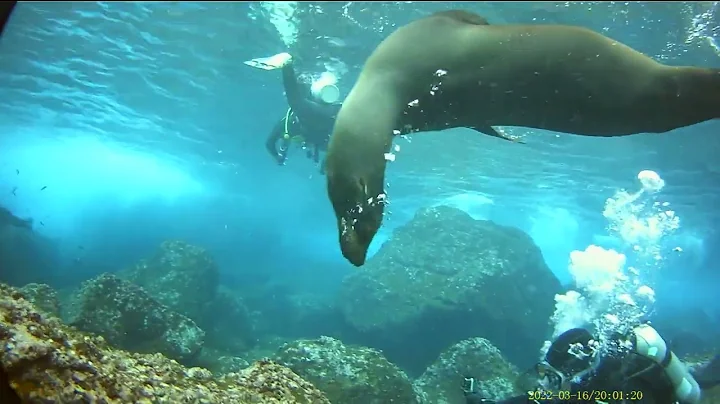 Matthew and Fresia -Galapagos Islands 2022