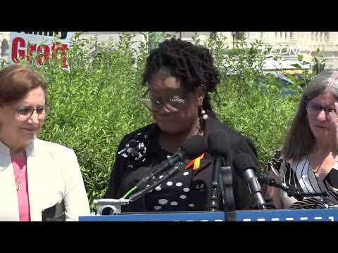 House Democrats on Public Education and School Choice Vouchers