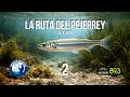RUTA DEL PEJERREY #2 - PESCA DEPORTIVA 🎣