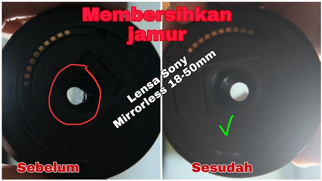 Cleaning fungus in 18-50mm Sony Mirrorless Lens (Membersihkan jamur pada lensa mirrorless Sony)