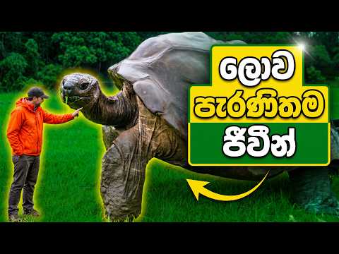 වීර පුරන් අප්පුටත් කලින් ඉපදිලා අදටත් ජීවත්වෙන ලෝකෙ පැරණිම ජීවීන් මෙන්න! | Oldest Living Creatures