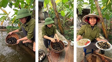 Ốc Bươu Vàng Xào Sả Ớt | Ẩm Thực Vùng Nông Thôn