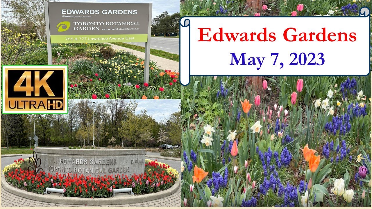 Edwards Spring Hope Edwards Gardens - Spring 2023 - 4K - YouTube