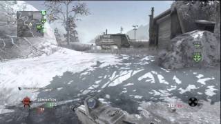 Call of Duty: Black Ops: Flawless Domination 16 on Array