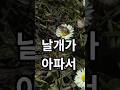 날개가 아파서 – HalfBeat Nature #shorts