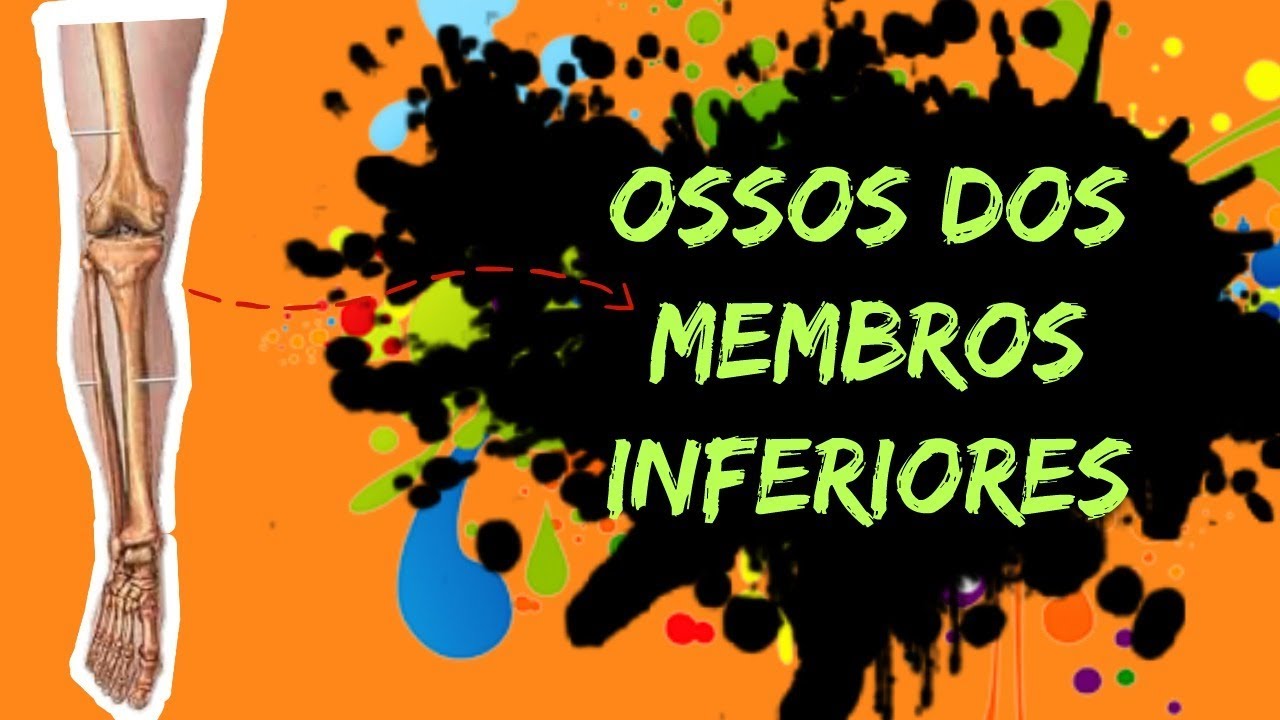 Aula 34: RAPIDEX - Ossos do membro inferior
