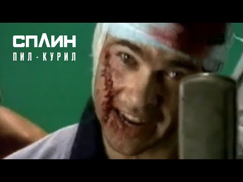 Video: Курил чайы - Потентилла