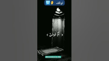 القرآة: #ياسر_الدوسري#اكسبلور #explore #اسلام_صبحي #قرآن #تلاوات_خاشعة #تلاوات #تلاوة #anime
