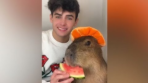 Hutton Orbital Live 05/10/2023 - The one with the Grizzly Beefstick