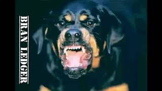 Bran Ledger - Dog (Rough Draft)