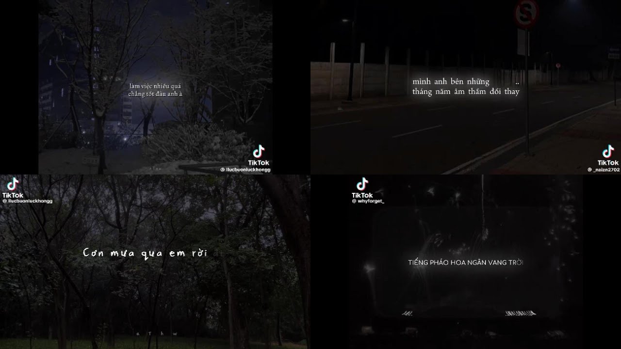 [ Tik Tok ] Tổng hợp những sound chữa lành cực hay mà bạn không nên bỏ lỡ P.3