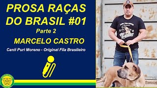 Prosa Raças do Brasil 01: Marcelo Castro e o Fila Brasileiro  Canil Puri Moreno (Parte 2)