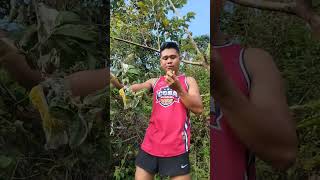 #highlights #nocopyrightmusic