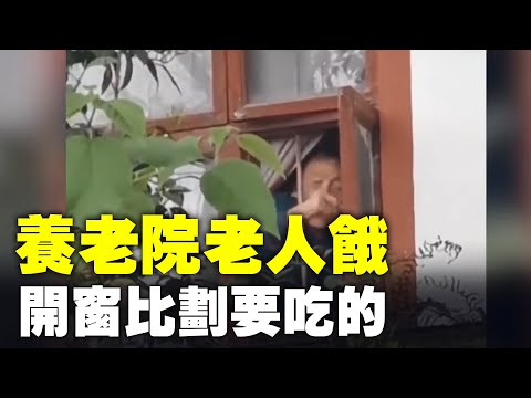 4月13日贵州贵阳，老人在养老院内隔窗招手，向路人索要吃的。网友：现在便宜的养老院不敢去，特别是“三无”、“五保”老人或其他困难老人这样的养老院，他们不拿当人待。