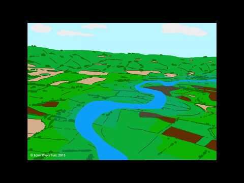 All about rivers: What is a floodplain?
