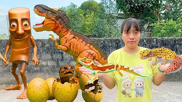 Kem Ốc tìm con dế, con sâu cho thú cưng thằn lằn Gecko, khủng long bắt tung tung sahur. Theu Chanel
