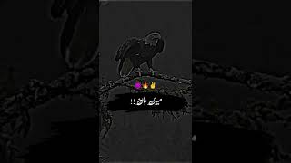 #attitudestatus #attitudeshayari #nowatermarks #short_Entartainment #withoutwatermarkpoetry