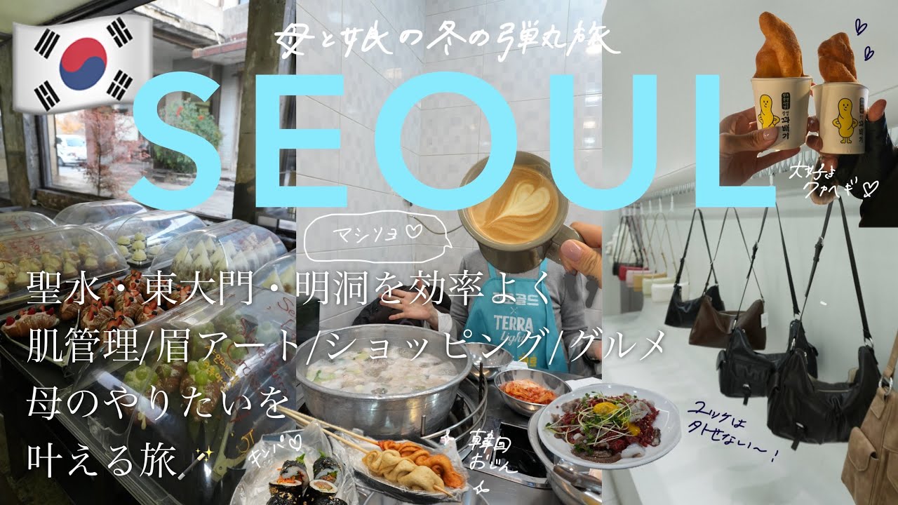 【韓国Vlog】母娘ソウル旅🇰🇷❄️東大門&聖水で爆買いと美容🤍肌管理・眉アート・カフェ巡り