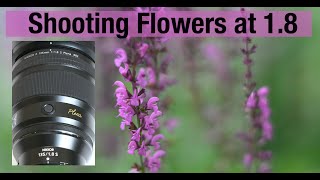 Why you Cant Count on a Great Lens to Make Great Pictures
I explain that great photos dont come from great equipment. There is a lot more to getting great images than shooting with a great lens.
My email: jlvphoto@yahoo.com
Should you buy refurbished:https://youtu.be/6HFHUOLEs1k
Review of the Nikon 60mm 2.8D:https://youtu.be/4jBdB6duUwM Why you Cant Count on a Great Lens to Make Great Pictures