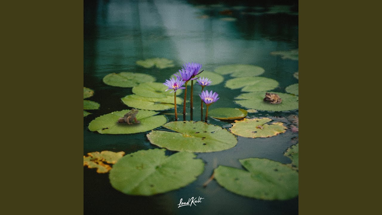 Guarda Ninfee su YouTube Guarda Ninfee su YouTube