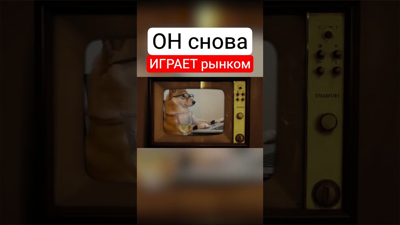 Как Маск заработал состояние на DOGE