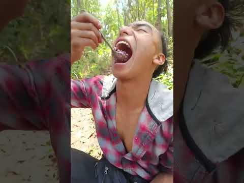 bayberry #mukbang