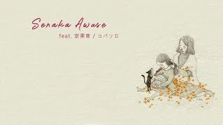 [Vietsub] Senaka Awase feat. 安果音 / コバソロ