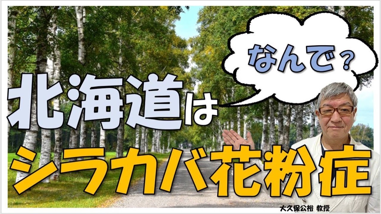 シラカバ花粉症とは ハンノキやコナラ ブナとも関係がある 対処法は 大久保公裕先生がやさしく解説 Youtube