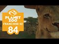 PLANET ZOO | S2 E84 - IT&#39;S THE EYE OF THE LION (Franchise Mode Lets Play)