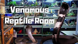 19 Years Old With Deadly ‘Pets’ (Animal Collection)