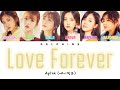 Apink (에이핑크) - Love Forever [Color Coded Lyrics / 일본어 / 한국어 번역 / 가사]