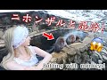 ニホンザルと外国人一緒に混浴温泉入った♨️🐒 長野旅館